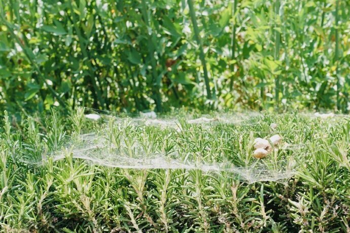 mile米乐(集团)-milesports