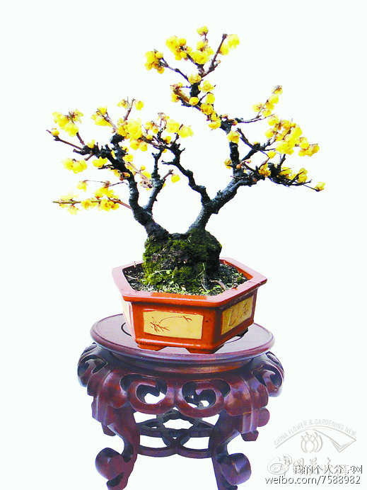 米乐(mile)体育:南林学子在第十二届全国大学生智能汽车竞赛中斩获佳绩(图1) mile米乐集团