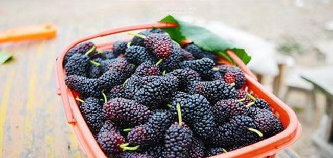 
女人30岁 推荐多吃四种食物 营养又鲜味 补气补血 护肤抗衰【mile米乐(集团)-milesports】(图3)