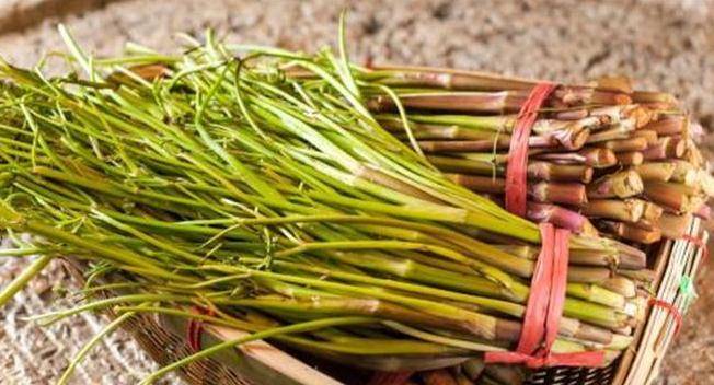 
女人30岁 推荐多吃四种食物 营养又鲜味 补气补血 护肤抗衰【mile米乐(集团)-milesports】(图5)