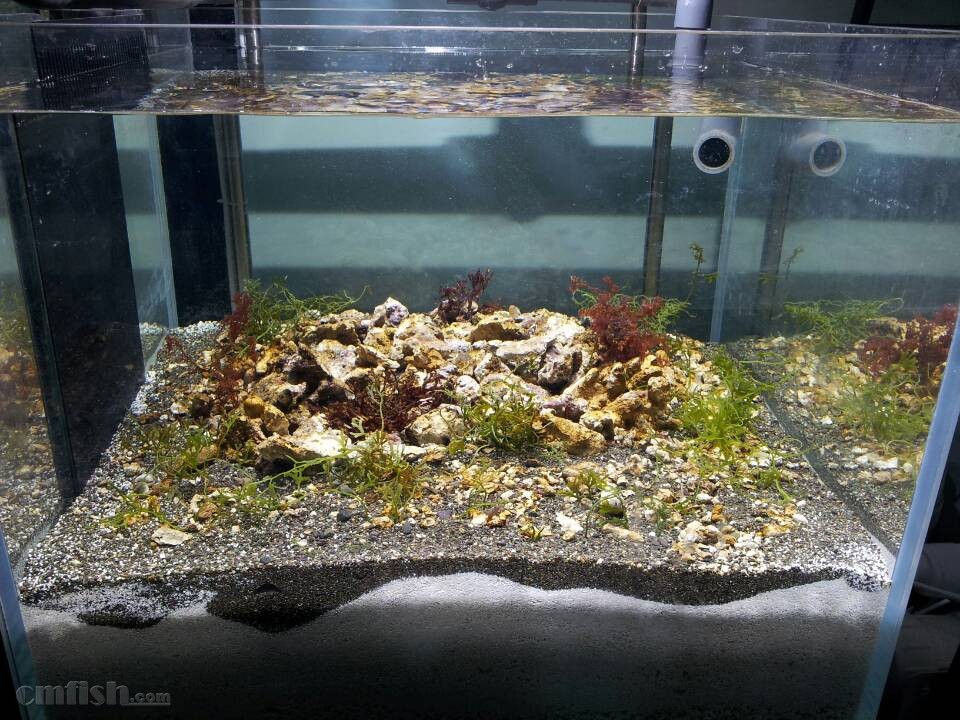 “米乐(mile)体育”2019最后一部好片,《来电狂响》:没有一部手机是无辜的。(图2) 米乐(mile)体育