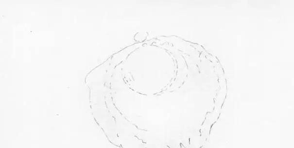 
低级绘画入门教程“米乐(mile)体育”(图8)