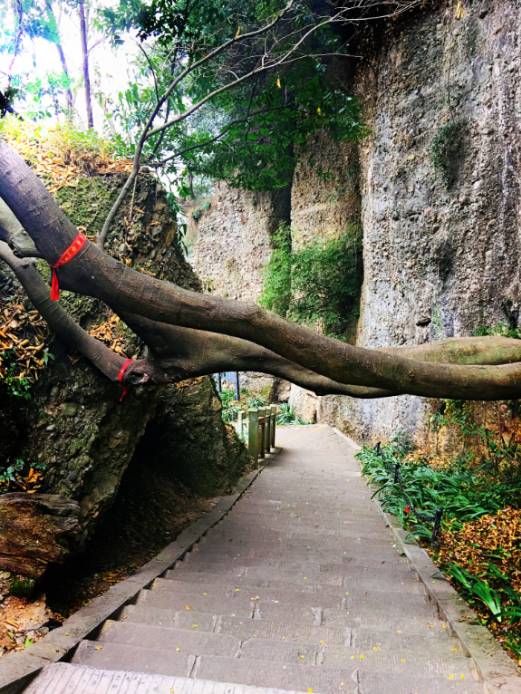 如何建设一所优质的学校‘mile米乐集团’(图2) mile米乐集团