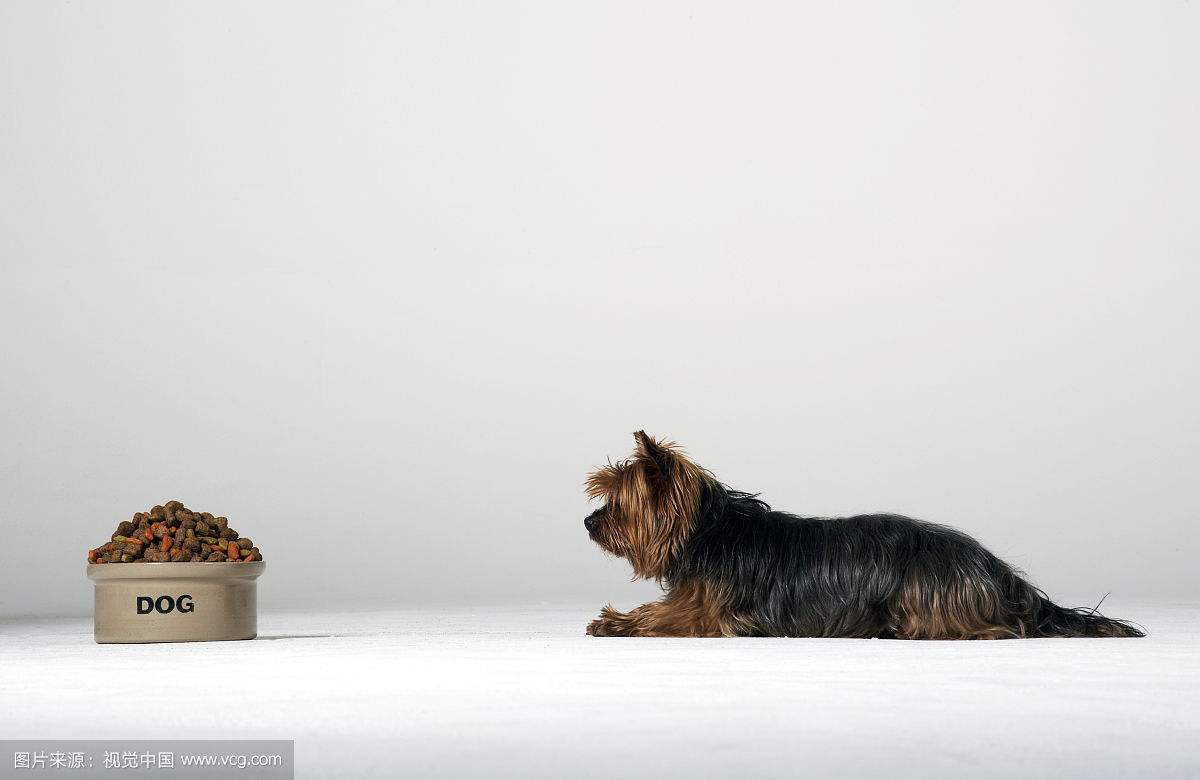 mile米乐(集团)-milesports