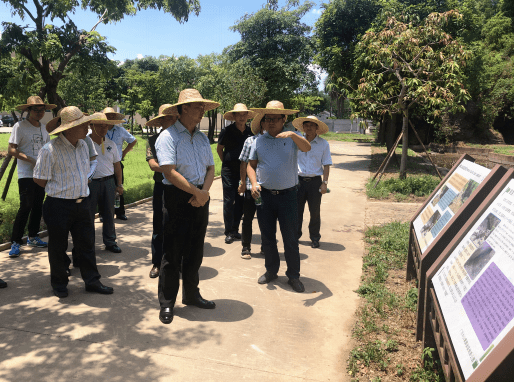 
争取顺利通过验收！省林业局到黄圃镇调研省级地质公园建设情况‘mile米乐’(图4)