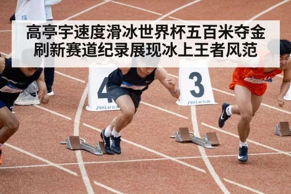 高亭宇速度滑冰世界杯五百米夺金刷新赛道纪录展现冰上王者风范